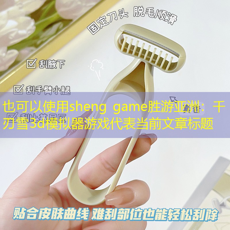 千刃雪3d模拟器游戏